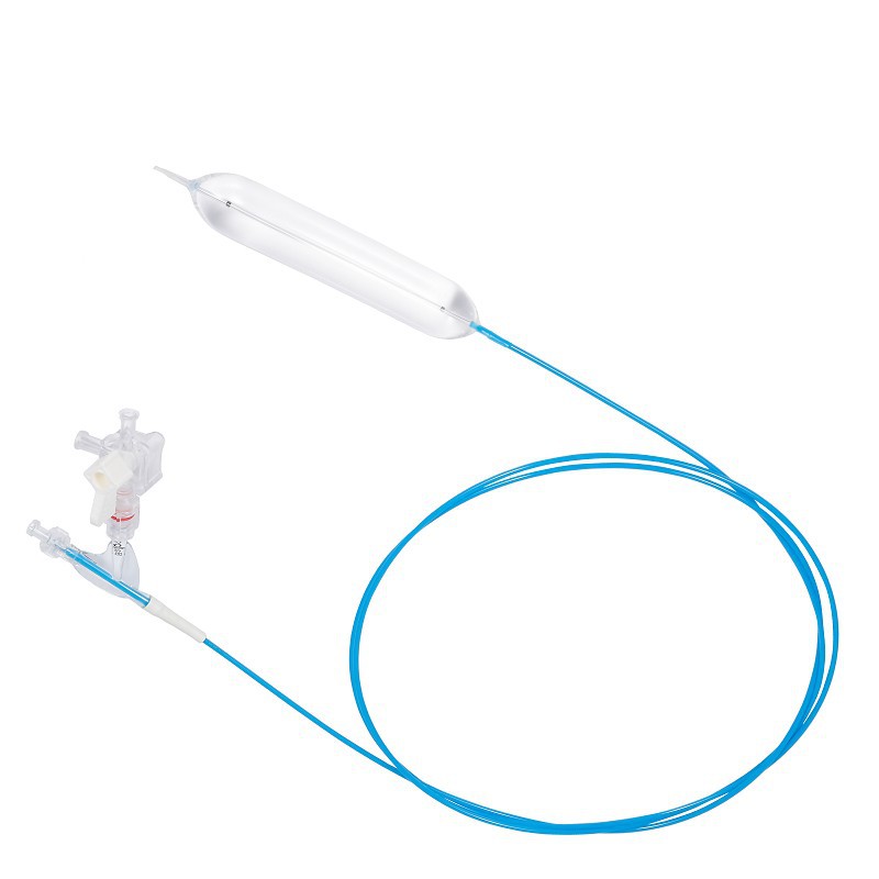 Dilation Balloon Catheter 1-Jiangsu Changmei Medtech(001)